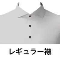 レギュラー襟のアイコン