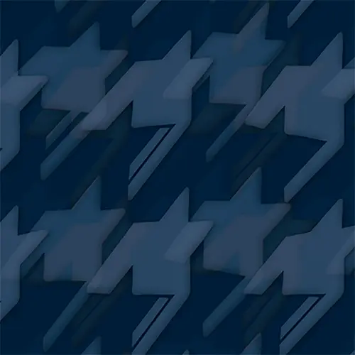 千鳥_レイヤードの柄アイコン