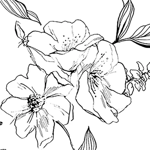 ライン_花③の柄アイコン